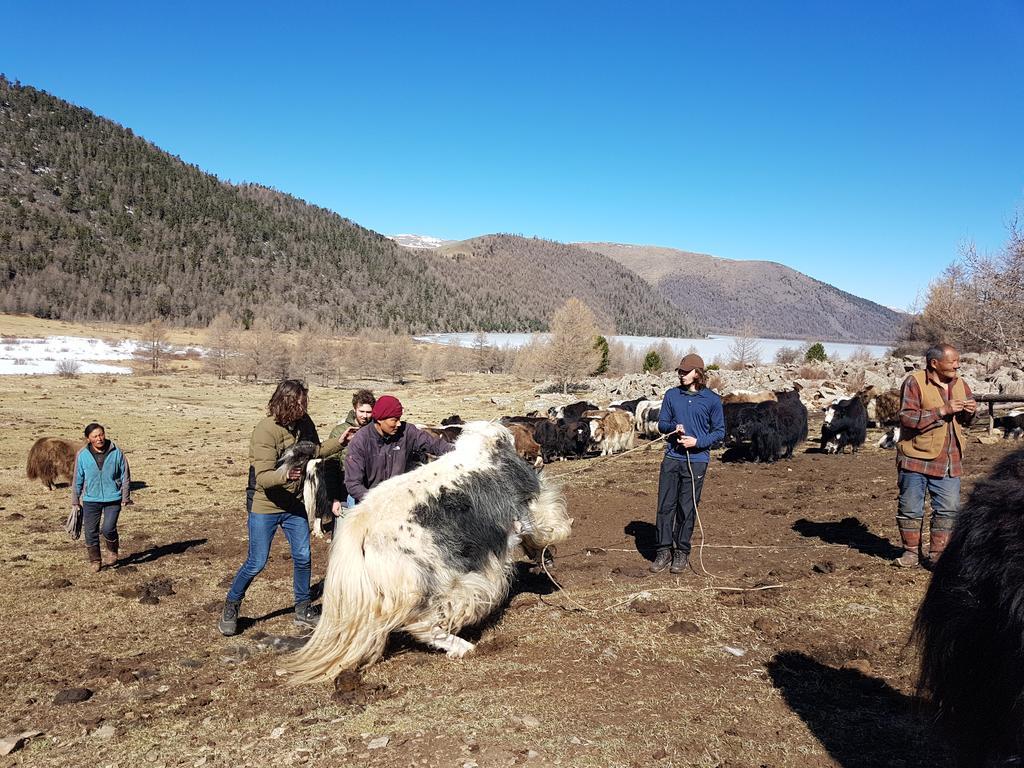 Vast Mongolia Tour & Hostel Ułan Bator Zewnętrze zdjęcie