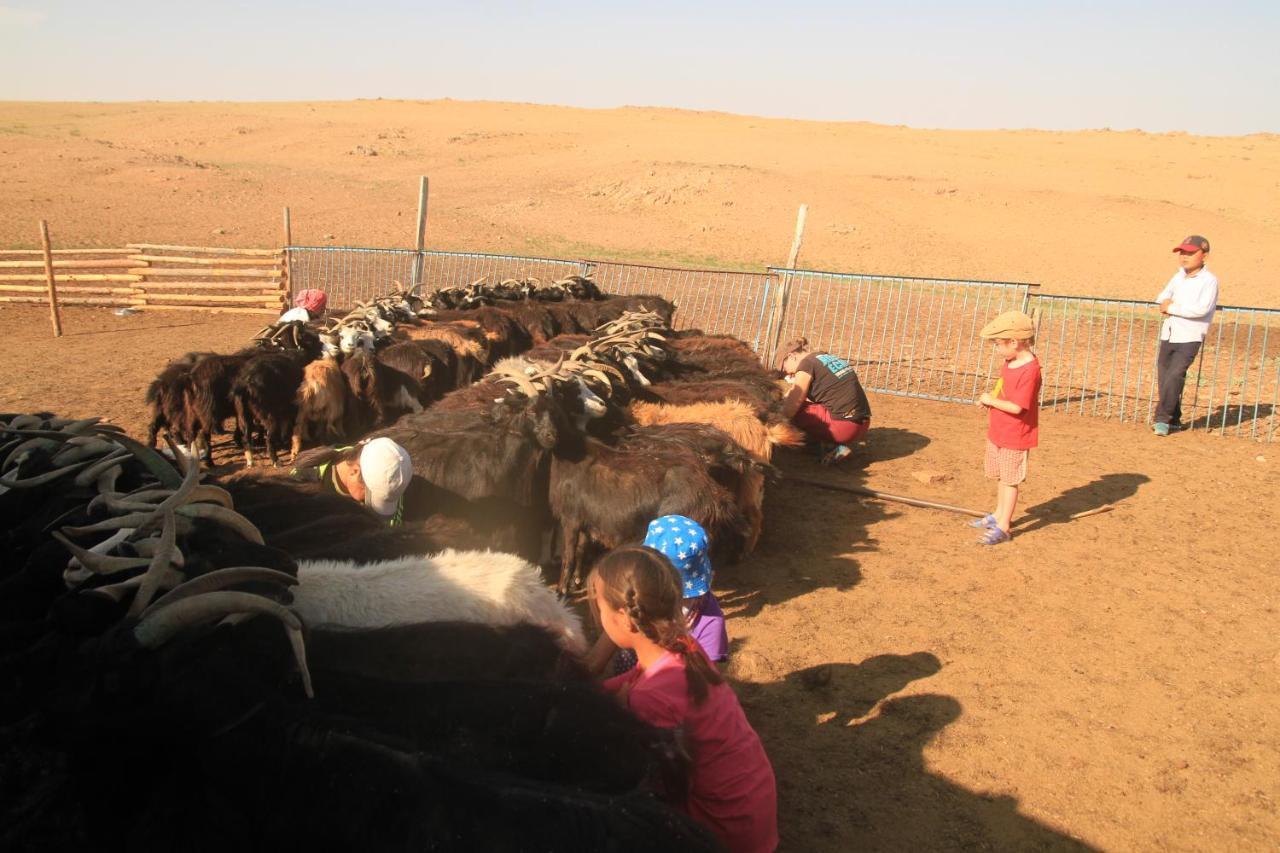 Vast Mongolia Tour & Hostel Ułan Bator Zewnętrze zdjęcie